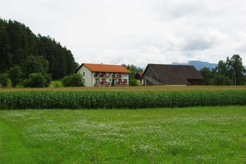 Pension Hribernig Sankt Primus Extérieur photo